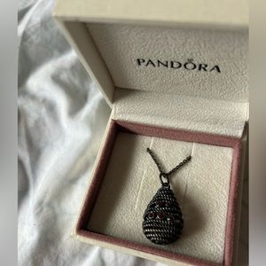 COPY - 100% Authentic Pandora Hidden Romance Retired  Rare Color Necklace